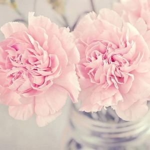 Meet your Posher, Monica